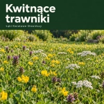 Kwitnące trawniki i murawy