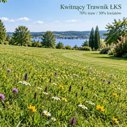 Kwitnący Trawnik ŁKS 70/30 — na gleby suche . 1 kg na 125 m2